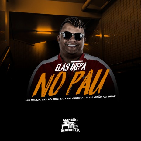 Elas Trepa no Pau (feat. DJ João no Beat) | Boomplay Music