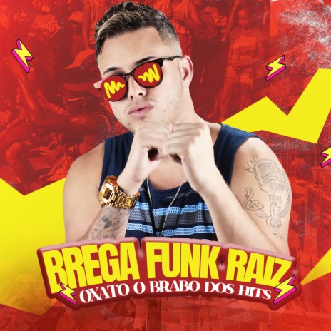 Brega Funk Raiz | Boomplay Music