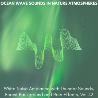 Ocean Wave Sounds in Nature Atmospheres - White Noise Ambiance with Thunder Sounds, Forest Background and Rain Effects, Vol. 12