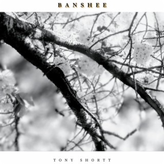 BANSHEE