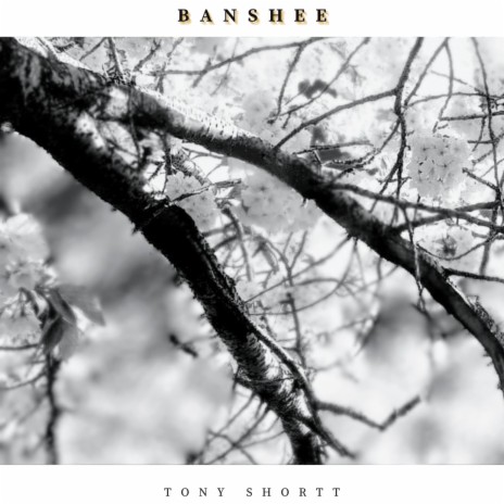 BANSHEE | Boomplay Music