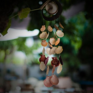 Wind Chimes Sounds for Zen and Yoga