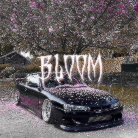 BLOOM | Boomplay Music