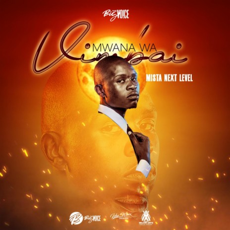 Mwana waVimbai | Boomplay Music
