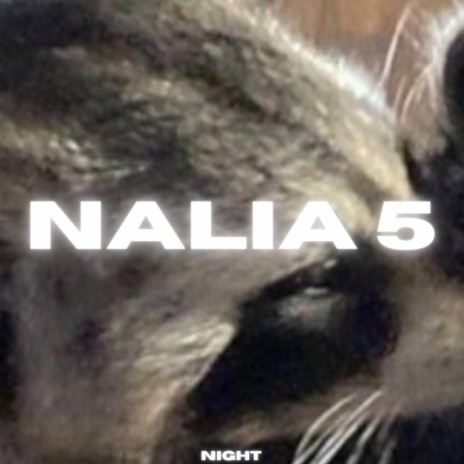 Nalia 5 | Boomplay Music