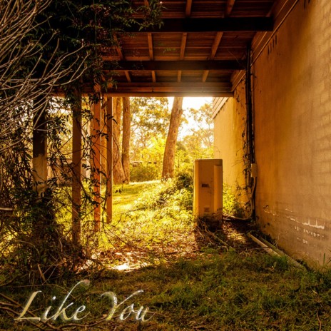 Like You (feat. Emily Searle, Ryan Clarke & Jesse Malek) | Boomplay Music