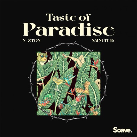 Taste Of Paradise (feat. Minuit 16) | Boomplay Music