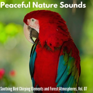 Peaceful Nature Sounds - Soothing Bird Chirping Elements and Forest Atmospheres, Vol. 07