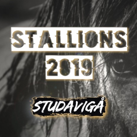 Stallions 2019 | Boomplay Music