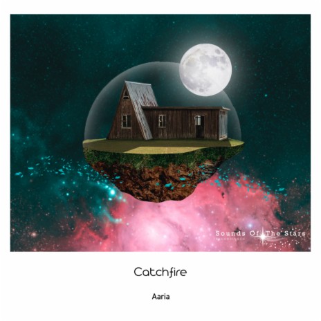 Aaria (Radio Edit) | Boomplay Music