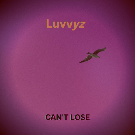 Can't Lose | Boomplay Music