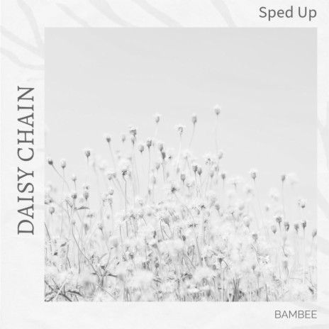 Daisy Chain-Sped up | Boomplay Music