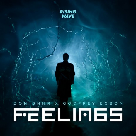 Feelings ft. Godfrey Egbon | Boomplay Music