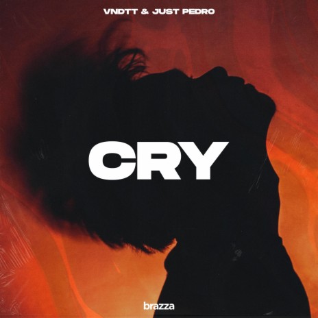 Cry ft. Just Pedro | Boomplay Music