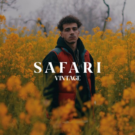 Safari | Boomplay Music