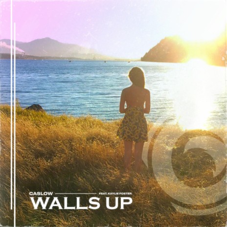 Walls Up ft. Kaylie Foster | Boomplay Music