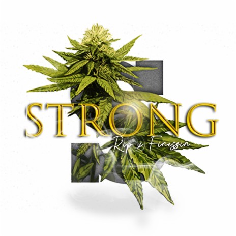 Strong ft. Yung Rip | Boomplay Music