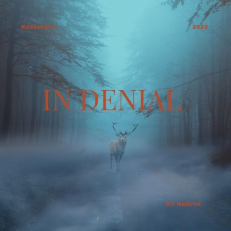 In Denial ft. Kostakane | Boomplay Music