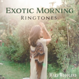 Exotic Morning Ringtones: Alarm to your Phone, Sounds of Nature to Wake Up in the Morning