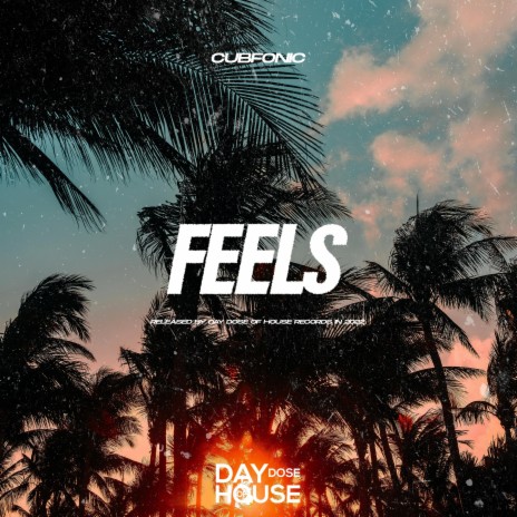 Feels ft. Franko Keys & Bass Motions | Boomplay Music