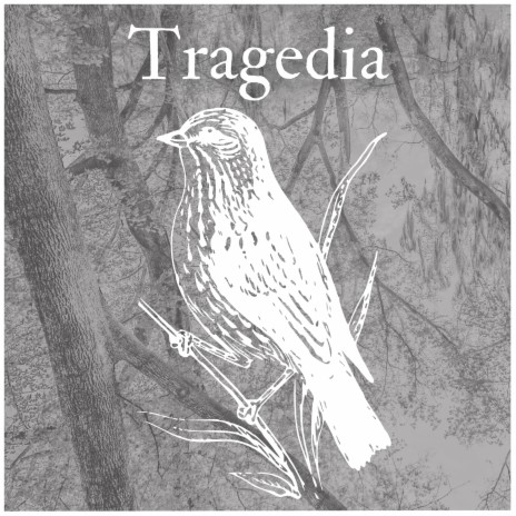 Tragedia | Boomplay Music