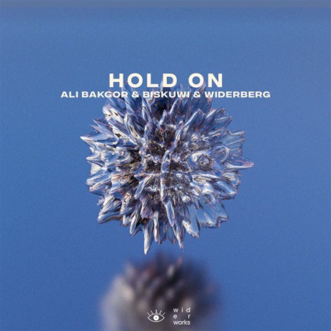 Hold On ft. biskuwi & widerberg | Boomplay Music