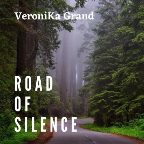 Road of silence | Boomplay Music