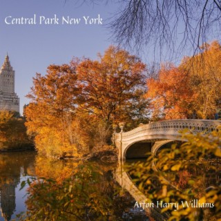 Central Park New York