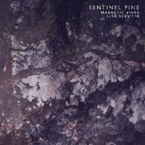 Sentinel Pine ft. Lisa Servilio | Boomplay Music