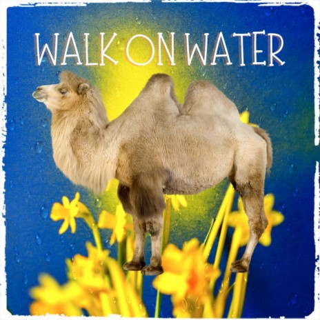 Walk On Water (Radio Edit) ft. Octoberture | Boomplay Music
