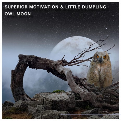 Owl Moon ft. Superior Motivation | Boomplay Music