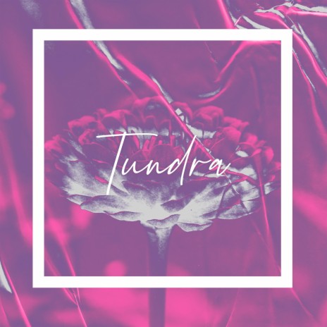 Tundra ft. LouisON | Boomplay Music