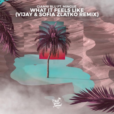 What It Feels Like (Vijay & Sofia Zlatko Remix) ft. Mingue & Vijay & Sofia Zlatko