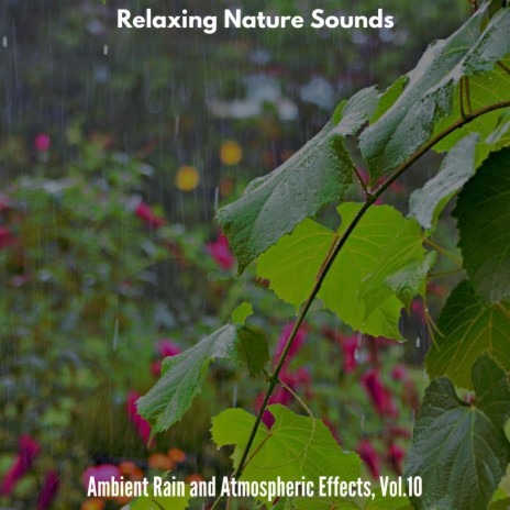 Rain Drops on Smooth Leaves | Boomplay Music