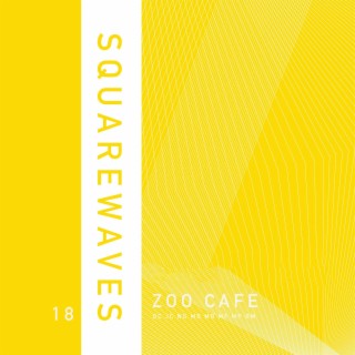 SquareWaves