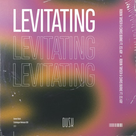 Levitating (feat. ES.Kay) | Boomplay Music