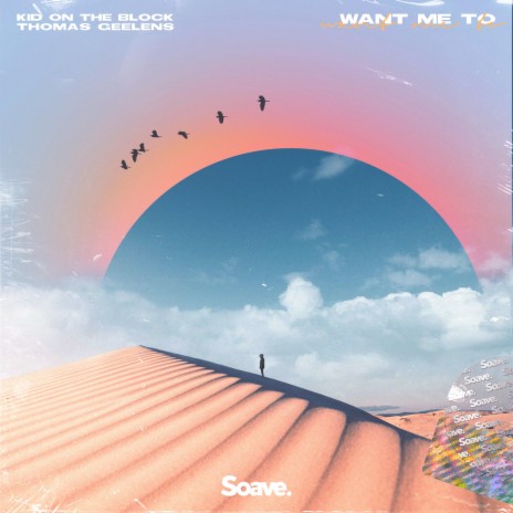 Want Me To ft. Thomas Geelens | Boomplay Music