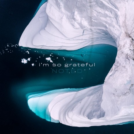 I'm so grateful ft. Martin Arteta & 11:11 Music Group | Boomplay Music