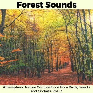 Forest Sounds - Atmospheric Nature Compositions from Birds, Insects and Crickets, Vol. 13