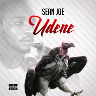 Sean Joe