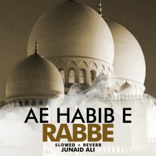 Ae Habib e Rabbe Lofi