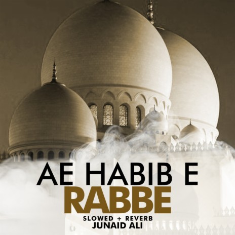 Ae Habib e Rabbe Lofi | Boomplay Music