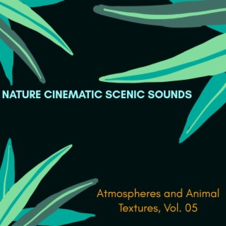 Nature Cinematic Scenic Sounds - Atmospheres and Animal Textures, Vol. 05