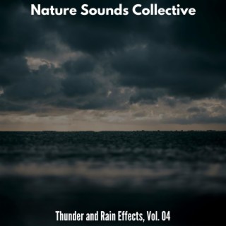 Nature Sounds Collective - Thunder and Rain Effects, Vol. 04