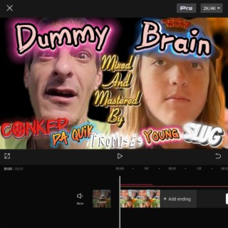 Dummy Brain
