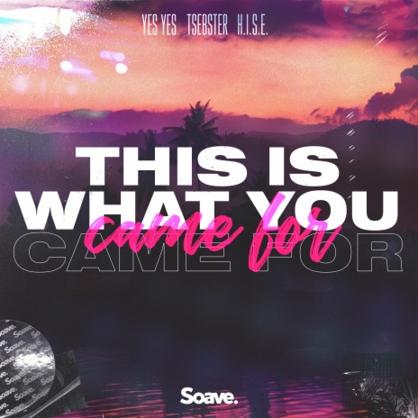 This Is What You Came For ft. Tsebster & H.I.S.E. | Boomplay Music
