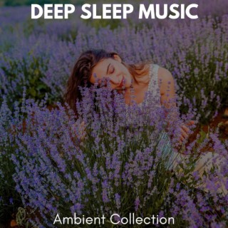 Deep Sleep Music - Ambient Collection