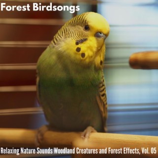 Forest Birdsongs - Relaxing Nature Sounds Woodland Creatures and Forest Effects, Vol. 05