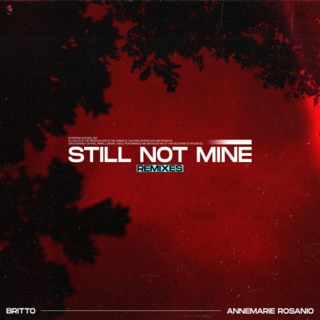 Still Not Mine (Josh Edew Remix) ft. Annamarie Rosanio & Josh Edew | Boomplay Music
