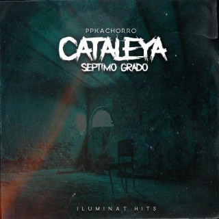 Cataleya